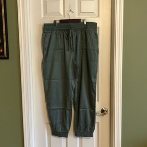 NWOT Dark Sage Green Pants